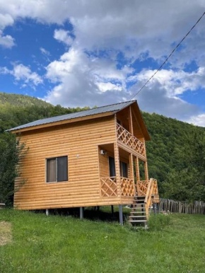 Andrias Wooden Hut